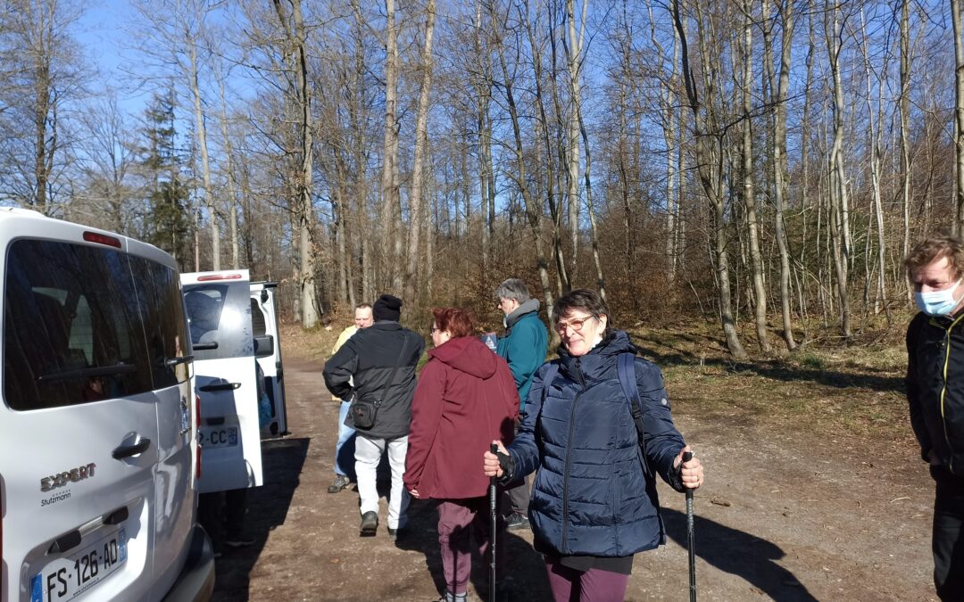 Marches Nordique et Randonnées